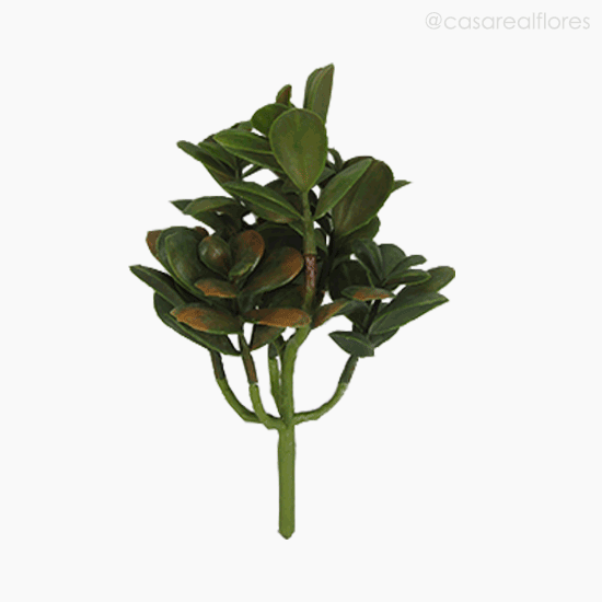 Foto do produto Money Tree Artificial - Verde Escuro (9553)
