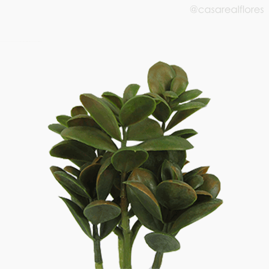 Foto do produto Money Tree Artificial - Verde Escuro (9553)