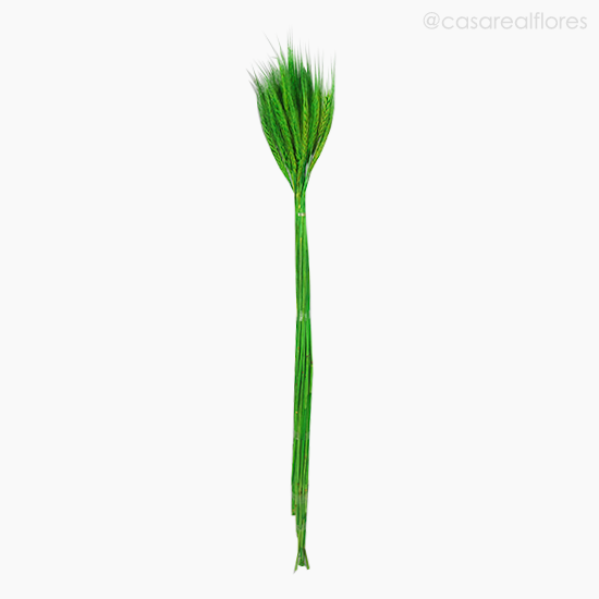 Foto do produto Trigo Colorido Seco - Verde Claro (1116410)
