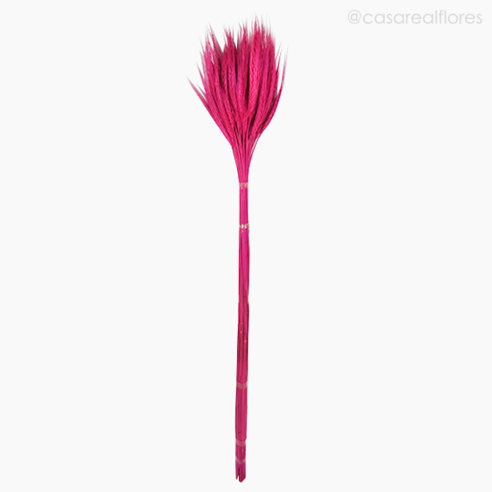 Foto do produto Trigo Colorido Seco - Rosa Escuro (0111648)