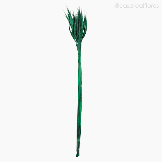 Foto do produto Trigo Colorido Seco - Verde Escuro (01116410)