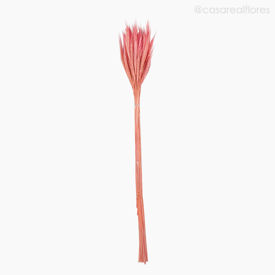 Foto do produto Trigo Colorido Seco - Rosa Claro (111648)