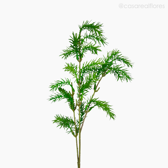 Foto do produto Galho Aspargus Artificial - Verde (10188)