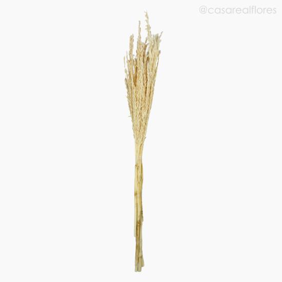 Foto do produto Flor de Milho Alvejado (012374)