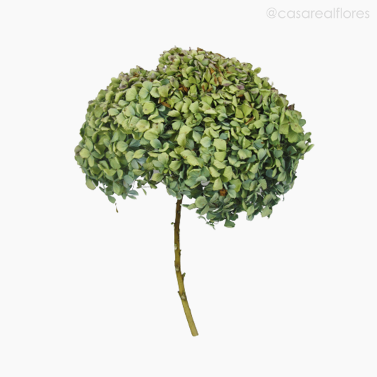Foto do produto Hortências Secas -  Natural G (012370)