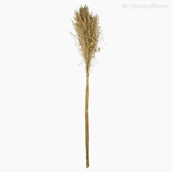 Foto do produto Capim Chorão Seco - Natural (012045)
