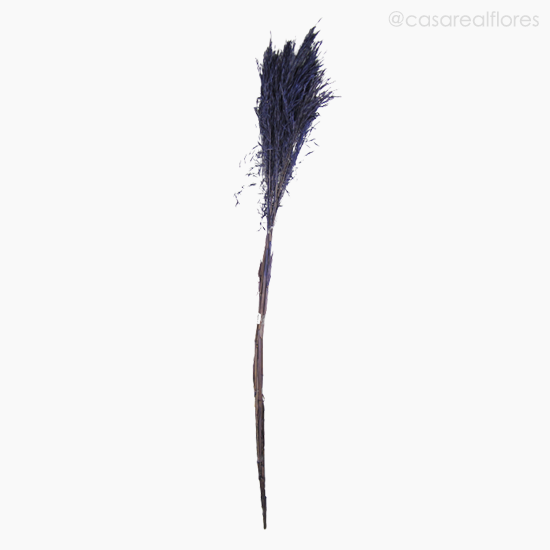 Foto do produto Capim Chorão Colorido Seco - Roxo (0120475)
