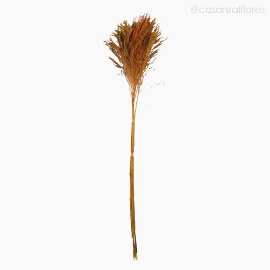 Foto do produto Capim Chorão Colorido Seco - Laranja (0120477)