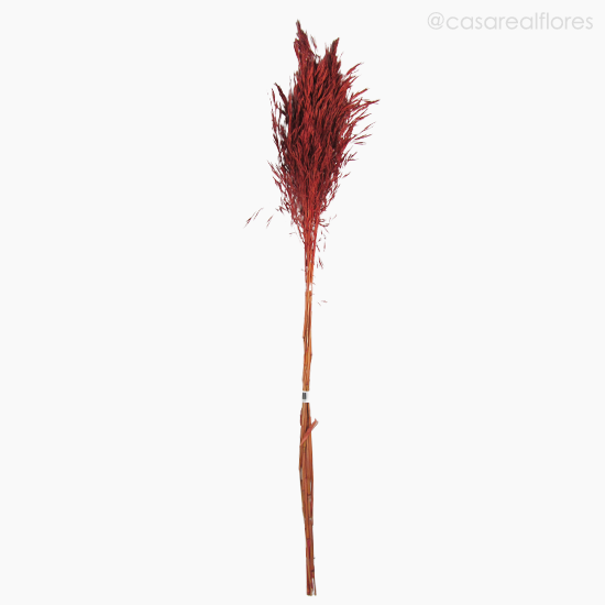 Foto do produto Capim Chorão Colorido Seco - Vermelho (0120476)