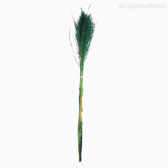 Foto do produto Capim Chorão Colorido Seco - Verde (01204710)