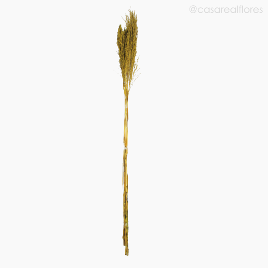 Foto do produto Capim Chorão Colorido Seco - Amarelo (01204712)