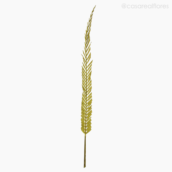 Foto do produto Palmeira Natural Seca - Amarelo (01201612)