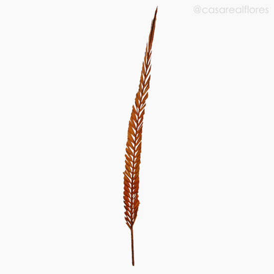 Foto do produto Palmeira Natural Seca - Laranja (0120167)