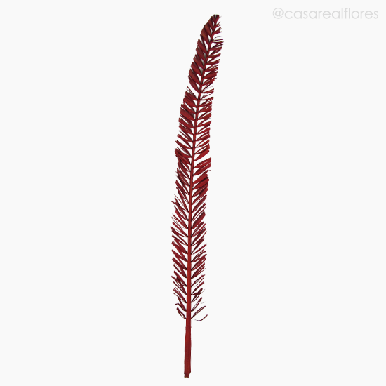 Foto do produto Palmeira Natural Seca - Vermelho (0120166)
