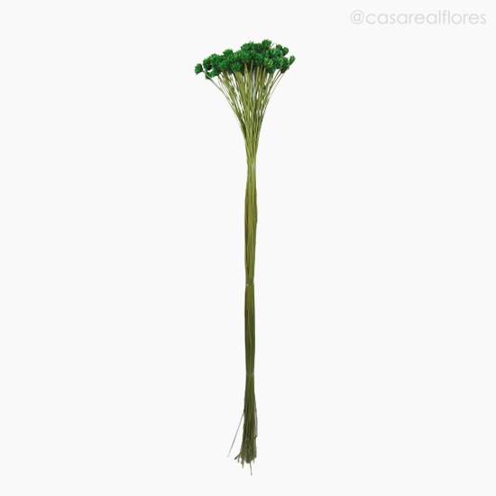 Foto do produto Flor Seca Espeta Nariz - Verde Escuro (01121810)