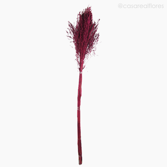 Foto do produto Capim Chorão Colorido Seco - Rosa (0120478)