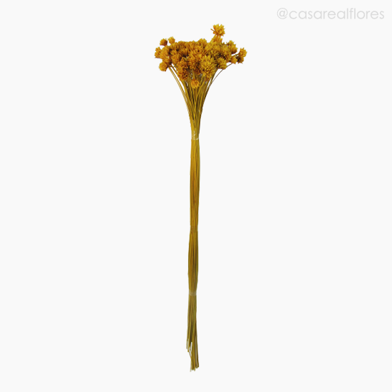Foto do produto Flor Seca Espeta Nariz - Amarelo (01121812)