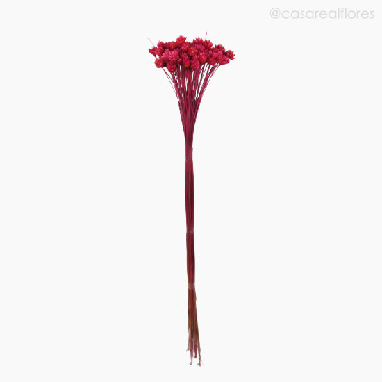 Foto do produto Flor Seca Espeta Nariz - Rosa (0112188)