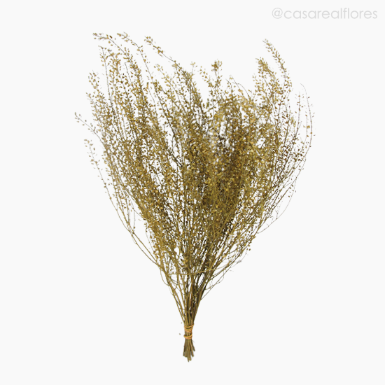 Foto do produto Serrãozinho Natural Seco (0121692)