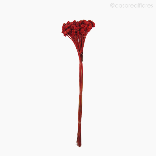 Foto do produto Flor Seca Espeta Nariz - Vermelho (0112186)