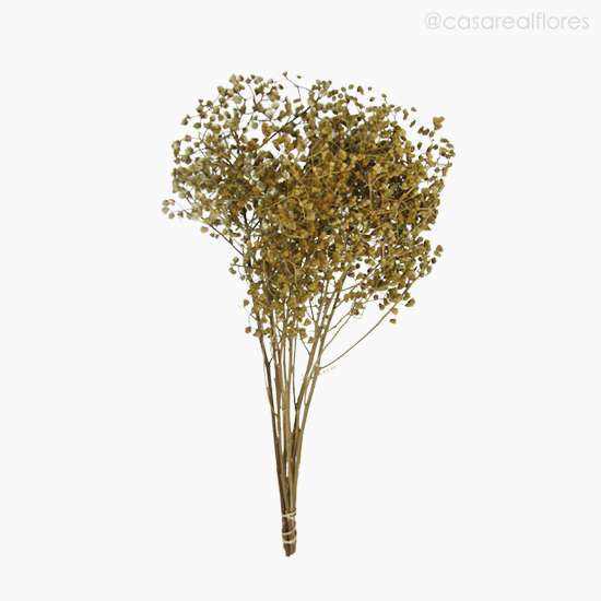 Foto do produto Dedinho Natural Seco (0121682)