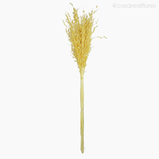 Foto do produto Brinco de Princesa - Alvejado (012089)