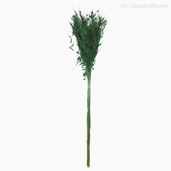 Foto do produto Brinco de Princesa - Verde Escuro (01202710)