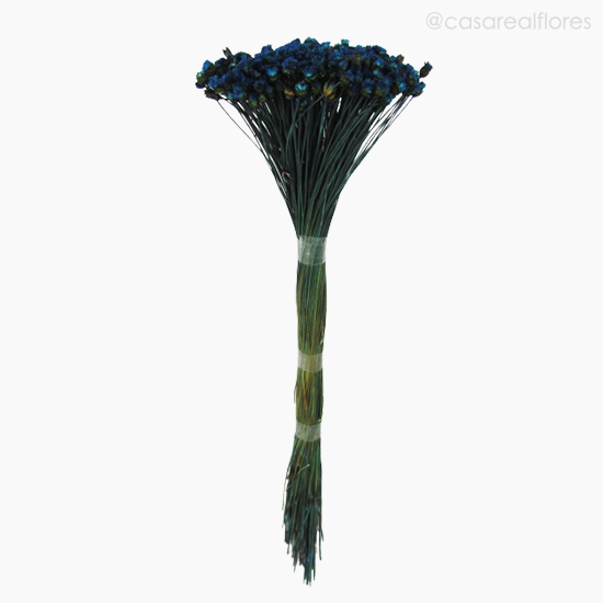 Foto do produto Jasida Seca - Azul (0119319)