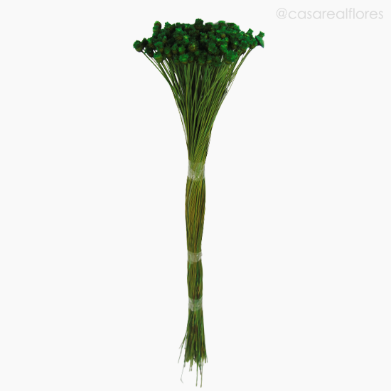 Foto do produto Jasida Seca - Verde Claro (1193110)