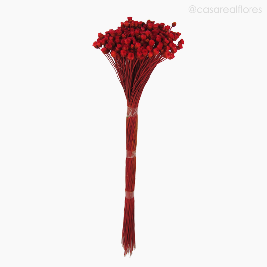Foto do produto Jasida Seca - Vermelho (0119316)
