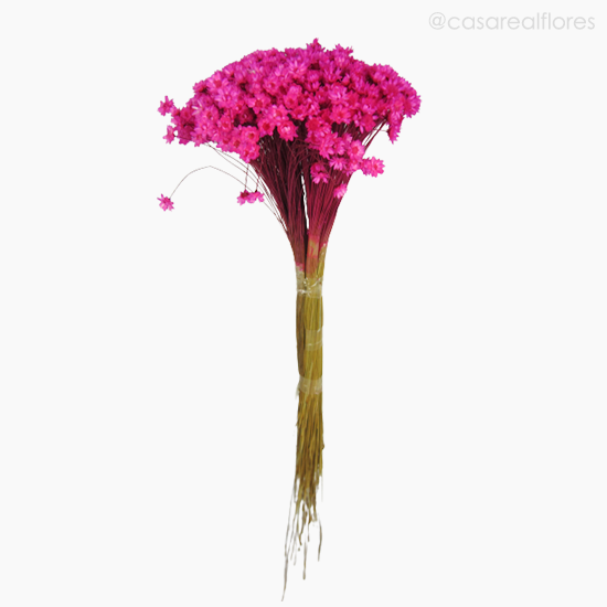 Foto do produto Sempre Viva Natural Seca - Rosa Escuro (0120088)