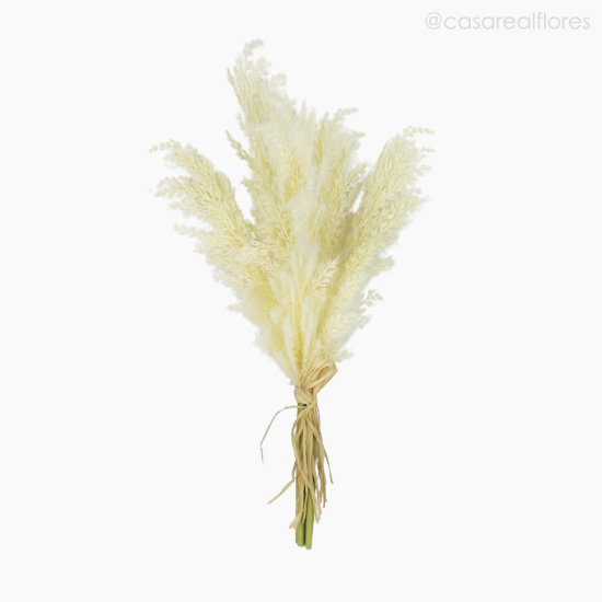 Foto do produto Buquê Flor de Milho X5 (012514)