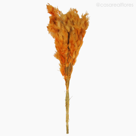 Foto do produto Pluminha Colorida Seca - Laranja (0125387)