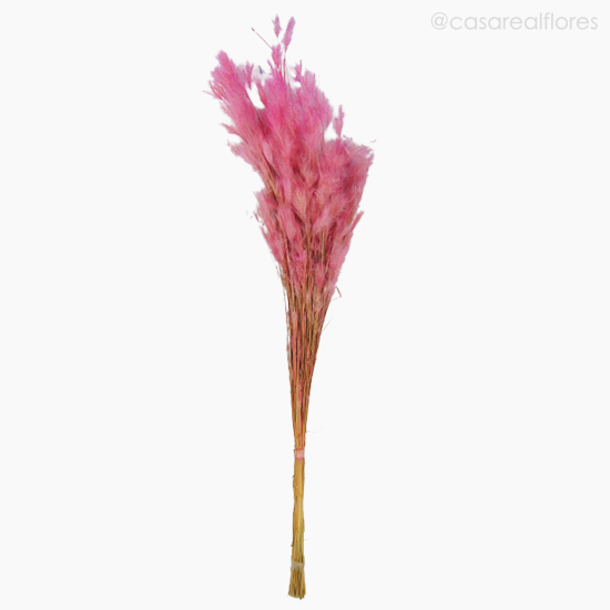 Foto do produto Pluminha Colorida Seca - Rosa (0125388)