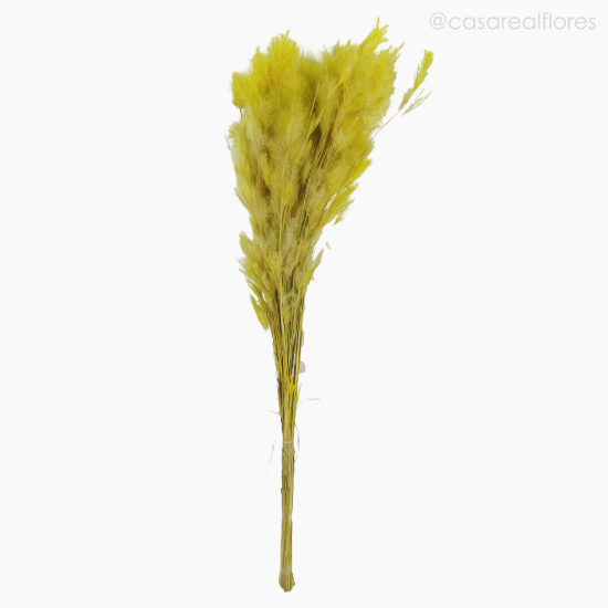 Foto do produto Pluminha Colorida Seca - Amarelo (01253812)