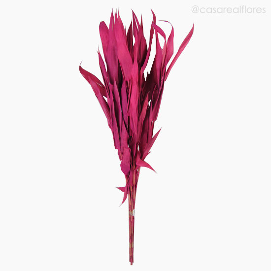 Foto do produto Andre Quice Colorido - Rosa (0120498)