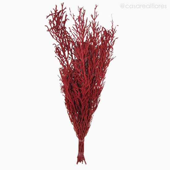 Foto do produto Capim Licopódio Colorido - Vermelho (0125396)
