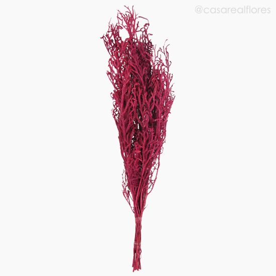Foto do produto Capim Licopódio Colorido - Rosa (0125398)