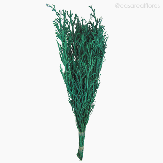 Foto do produto Capim Licopódio Colorido - Verde Escuro (01253910)