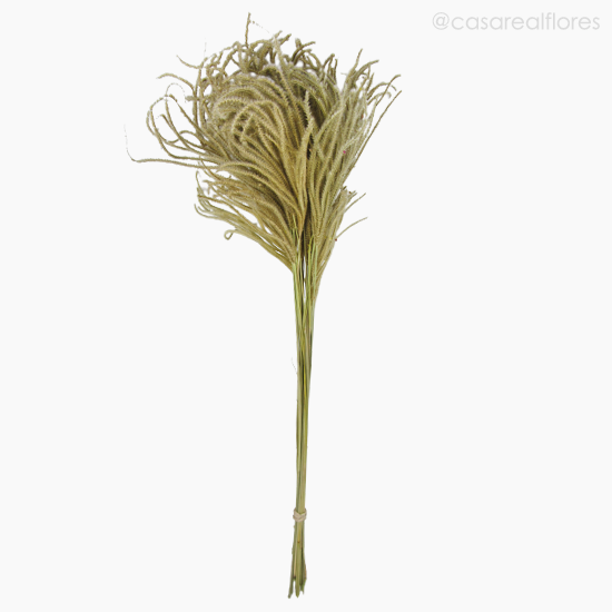 Foto do produto Capim Pluminha Natural (0125442)