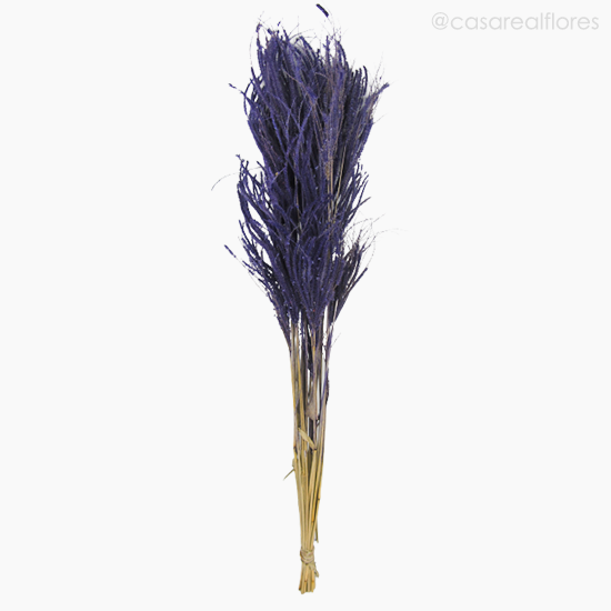 Foto do produto Capim Pluminha - Roxo (0125445)