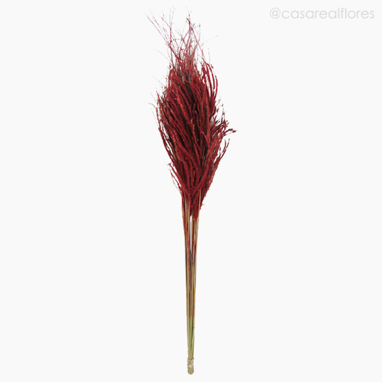 Foto do produto Capim Pluminha - Vermelho (0125446)