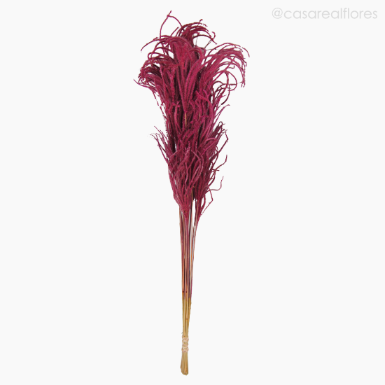Foto do produto Capim Pluminha - Rosa (0125448)