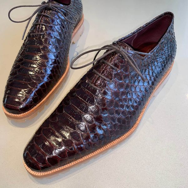Sapato Oxford Mauro Python Traccia Marrom