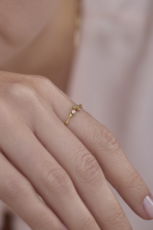 Foto do produto anel haeru diamantes