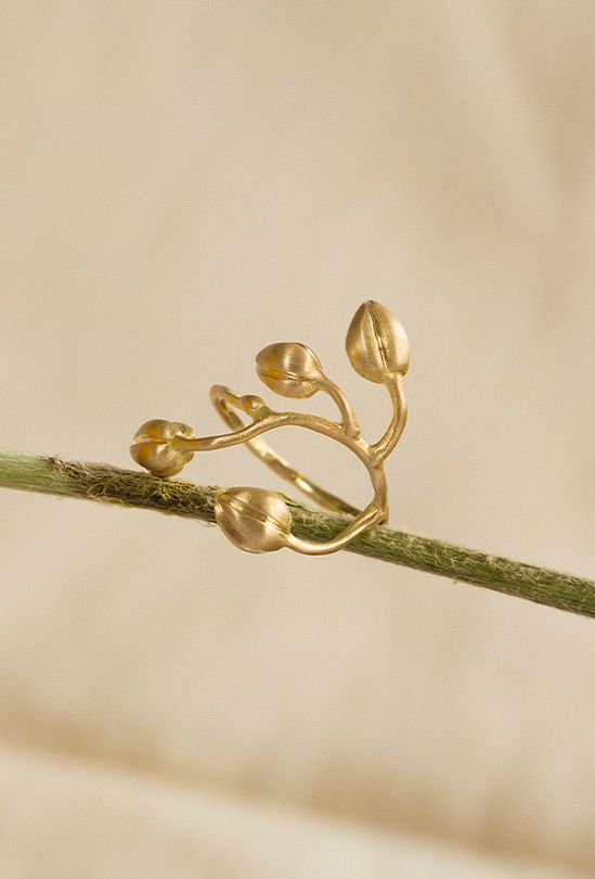 Foto do produto anel orquídea