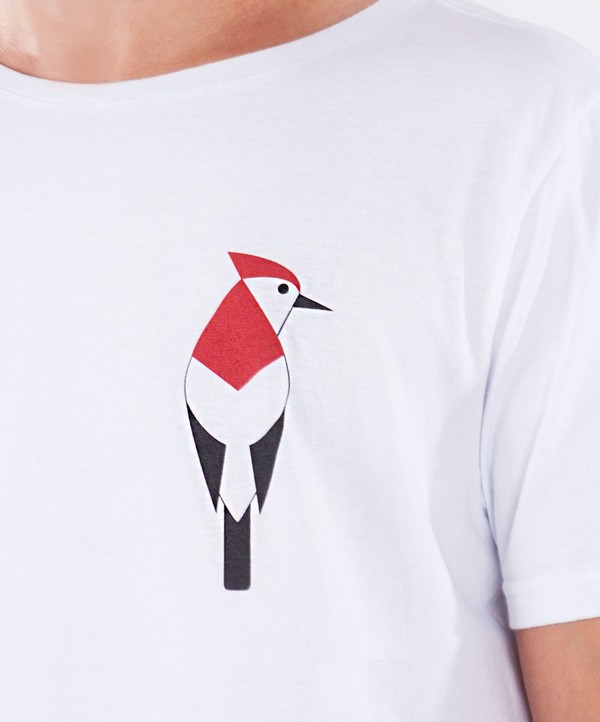 Camiseta Aves Araripe