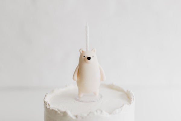 Foto do produto bolo - urso polar