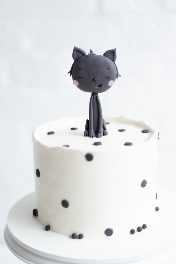 Foto do produto cat cake