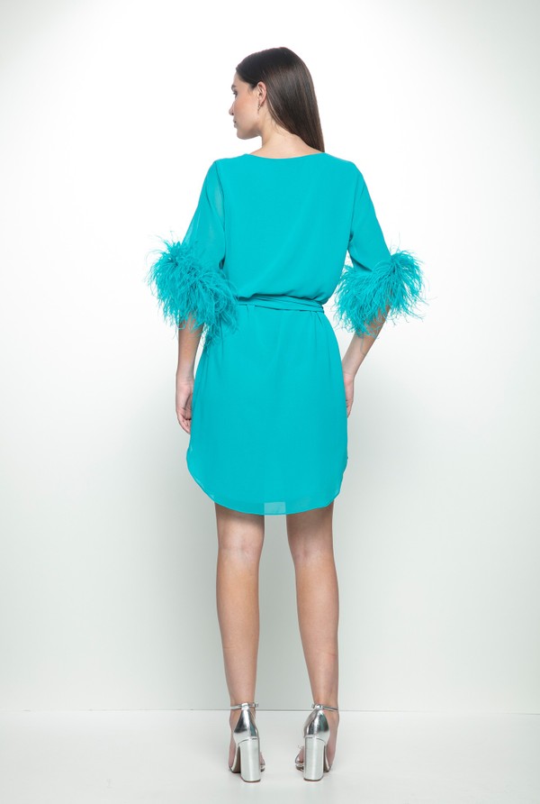 Foto do produto Vestido Curto Decote V com Plumas Tiffany